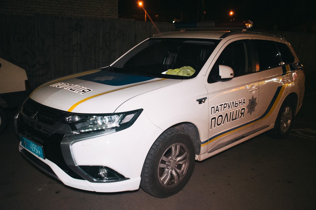 В Киеве патрульные спасли собаку, которую сбила машина