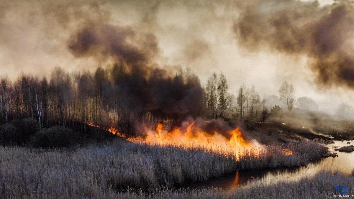 Какие экокатастрофы произошли в Украине за 2020 год