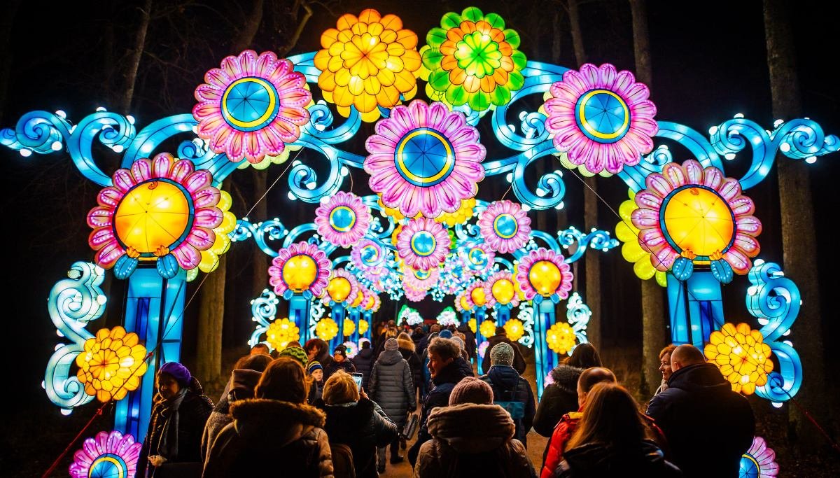 Огненное шоу, гигантский лев и китайские фонари: где и когда в Киеве создадут настоящий парк иллюминаций