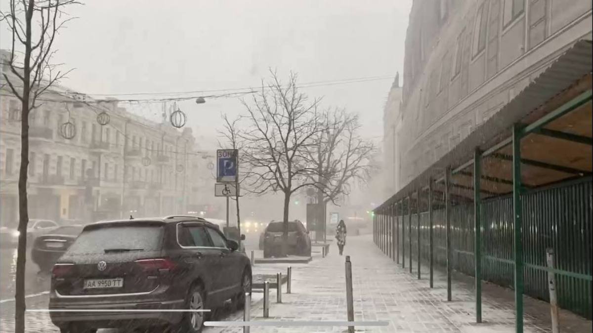На Киев обрушилась снежная пелена: фото и видео