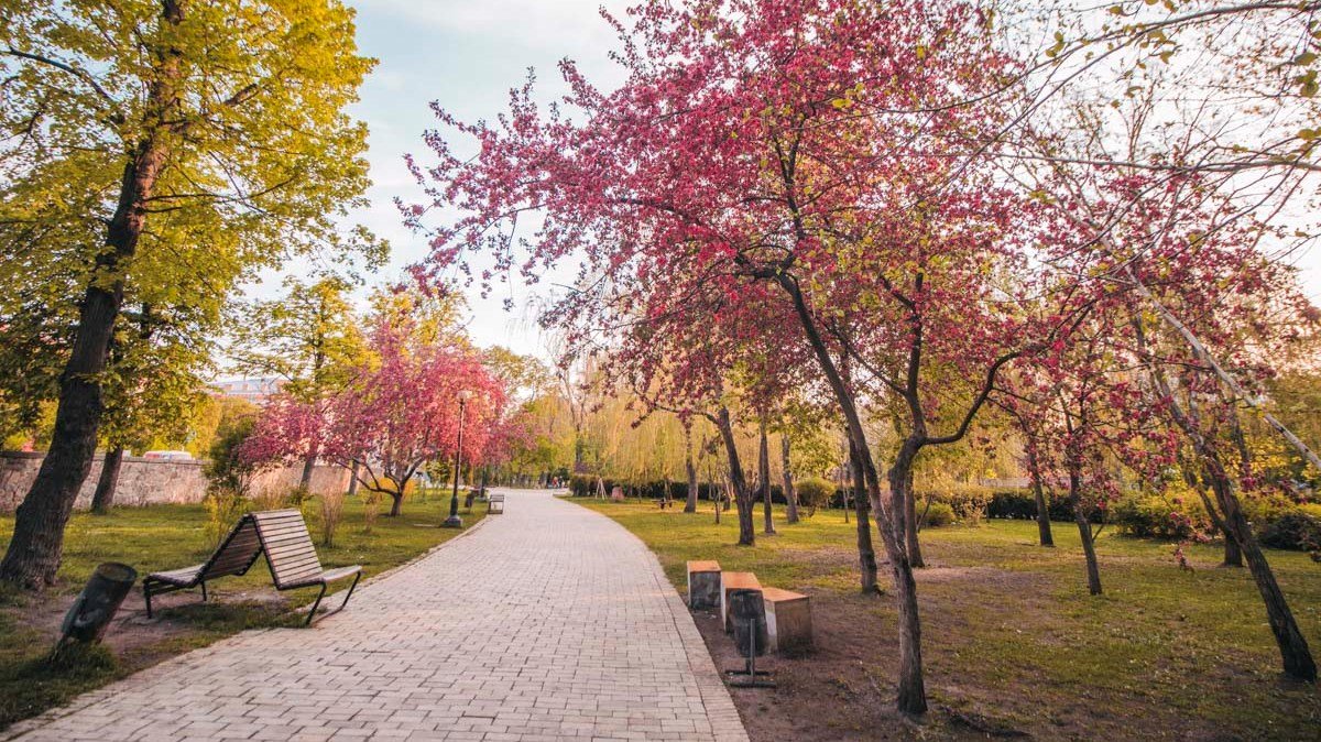 В Киеве появятся 69 новых зеленых зон: адреса будущих парков и скверов в каждом районе