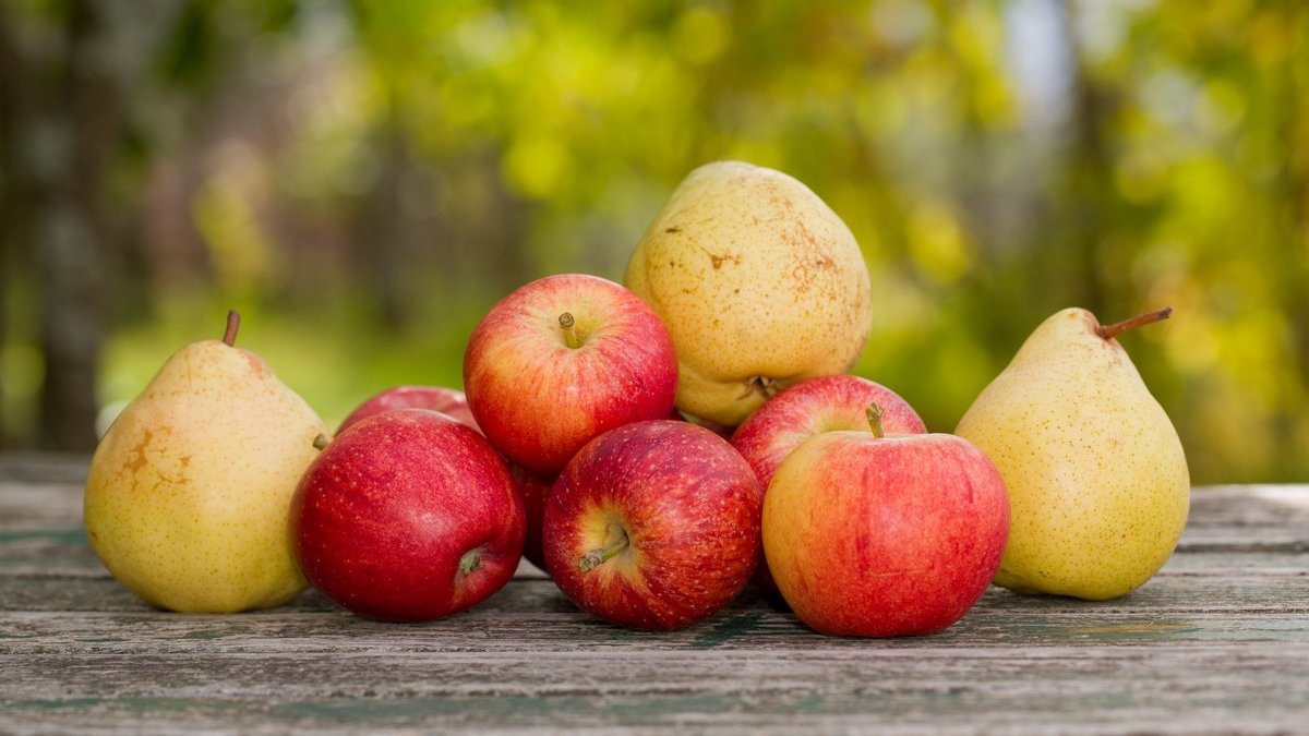 Где в Киеве купить фермерские груши и яблоки: адреса