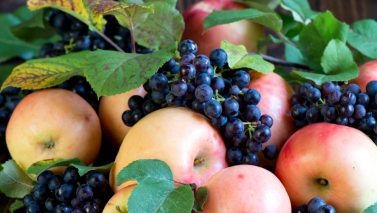 Где в Киеве купить сладкий виноград и спелые яблоки: адреса