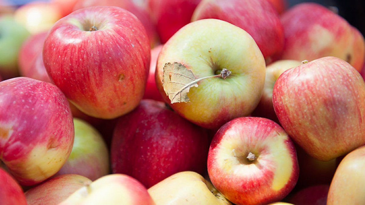 Где в Киеве купить домашние яблоки, грибы и ягоды: адреса