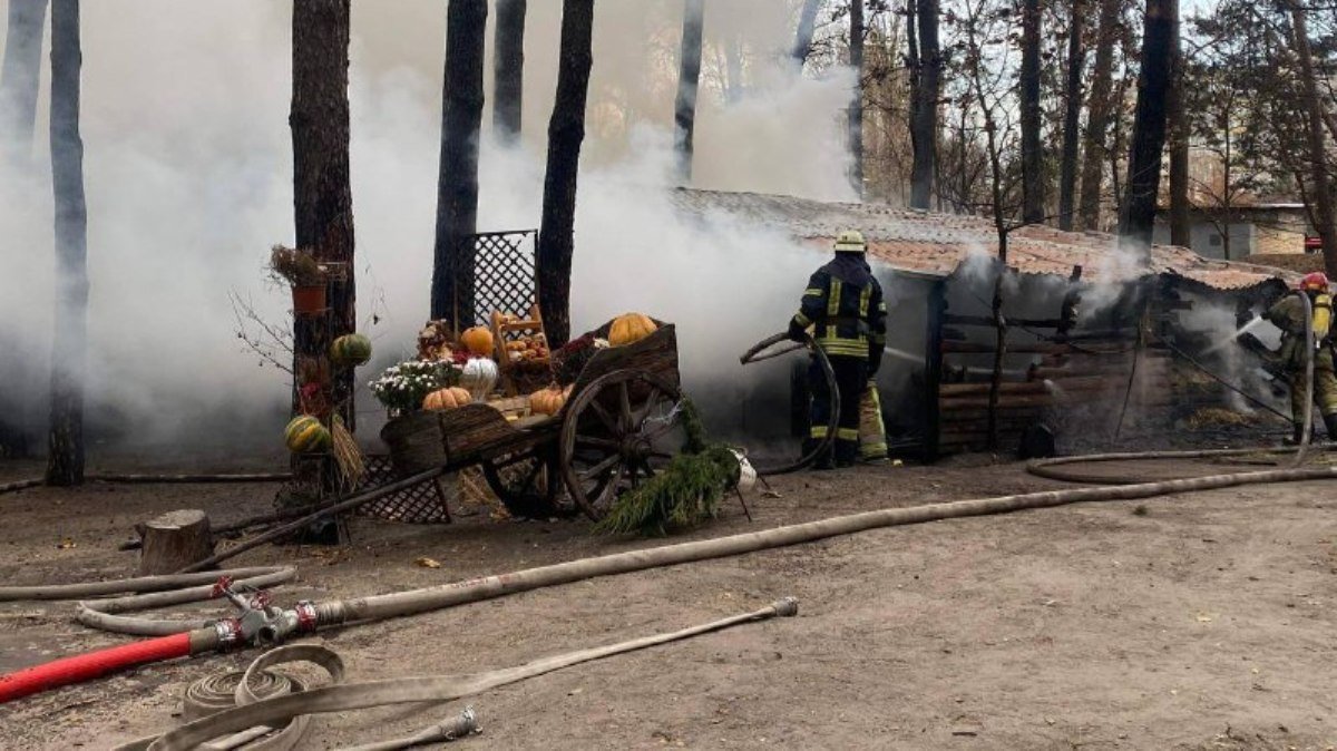 В Киеве загорелся контактный зоопарк