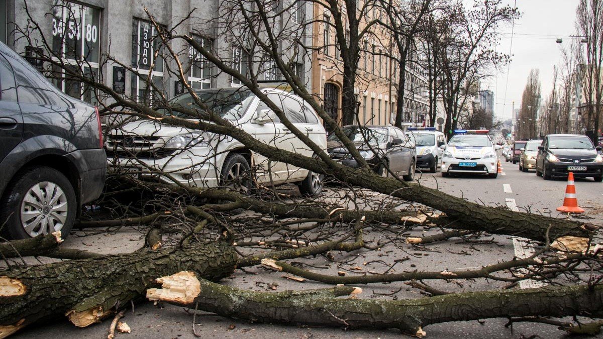 В Киеве опасно приближаться к рекламным щитам и деревьям: объявили желтый уровень опасности