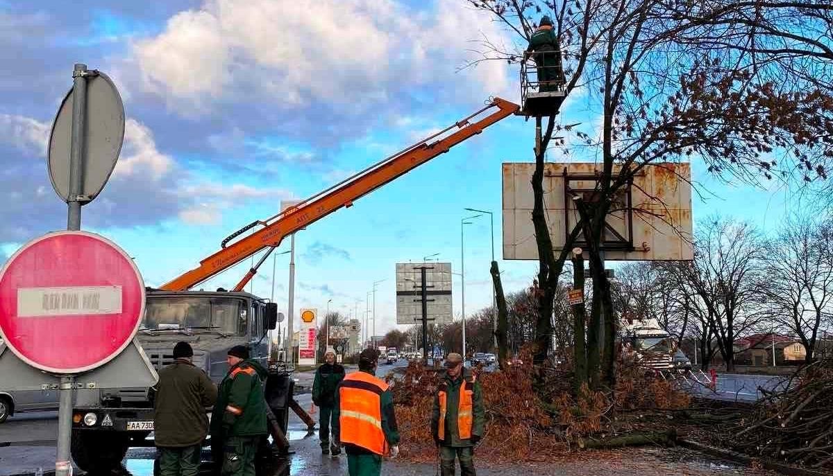 В Киеве штормовым ветром повалило более сотни деревьев