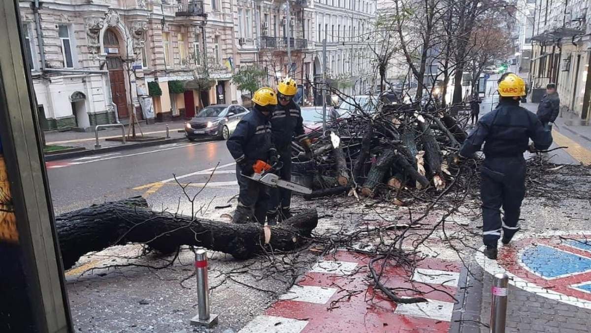 В Киеве из-за непогоды на тротуары и автомобили продолжают падать обледеневшие деревья: будьте осторожны