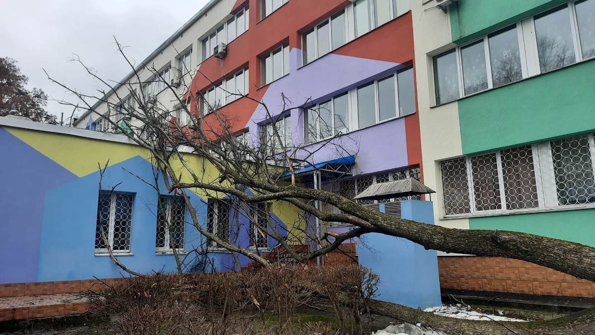 В Киеве возле детской поликлиники на здание обрушилось дерево