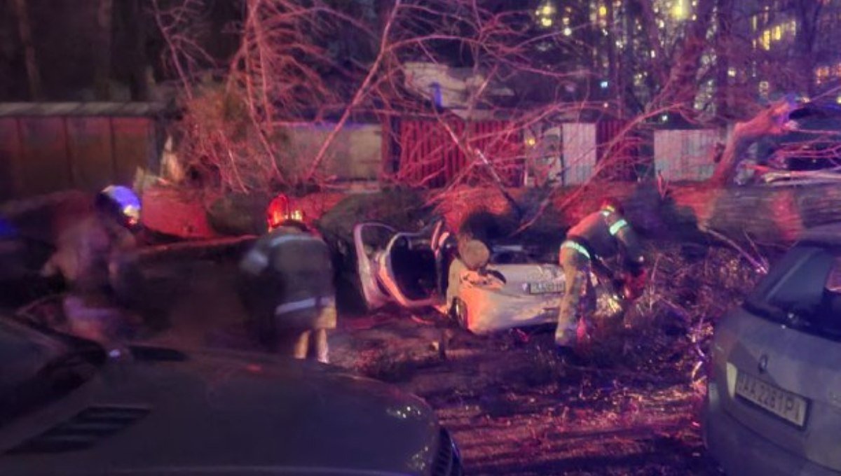 В Киеве упавшие дерево и электроопоры разбили четыре авто: в одной из машин были люди