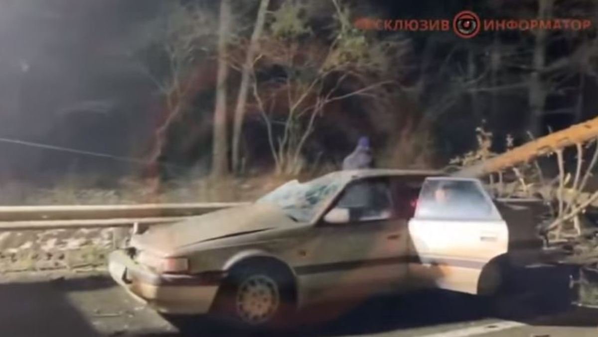 В Киеве сосна упала на автомобиль и парализовала выезд из города