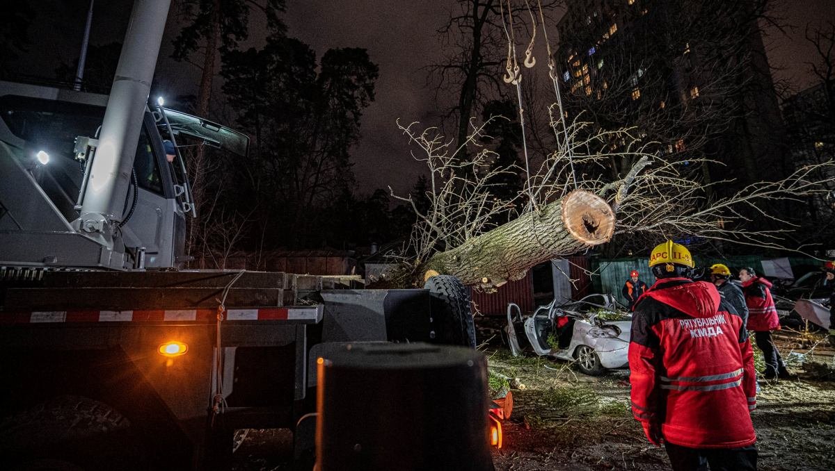 В Киеве упавшее огромное дерево убило водителя Peugeot: чтобы достать тело, спасатели вызывали кран. Фото с места