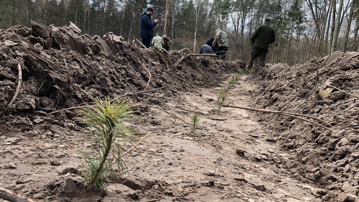 В Киеве посадили полгектара нового леса