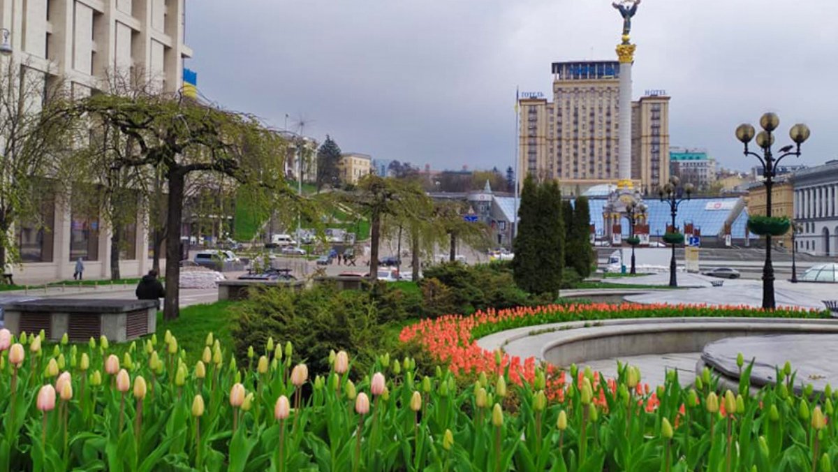 В центре Киева расцвели 100 тысяч тюльпанов: фотографии