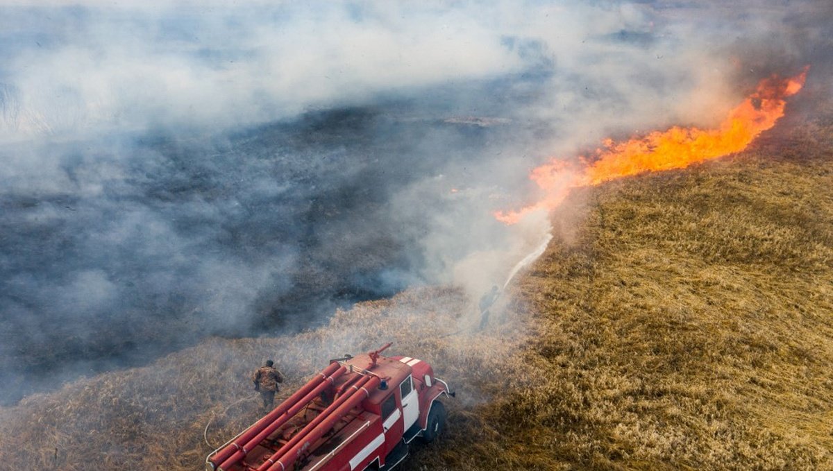 В Киеве объявили чрезвычайный уроверь пожарной опасности: что нужно знать