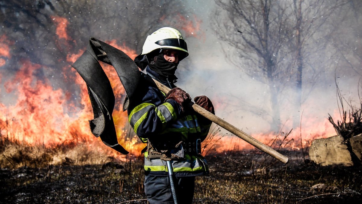 В Киеве опасно разводить костры: сколько грозит за поджог мусора и травы