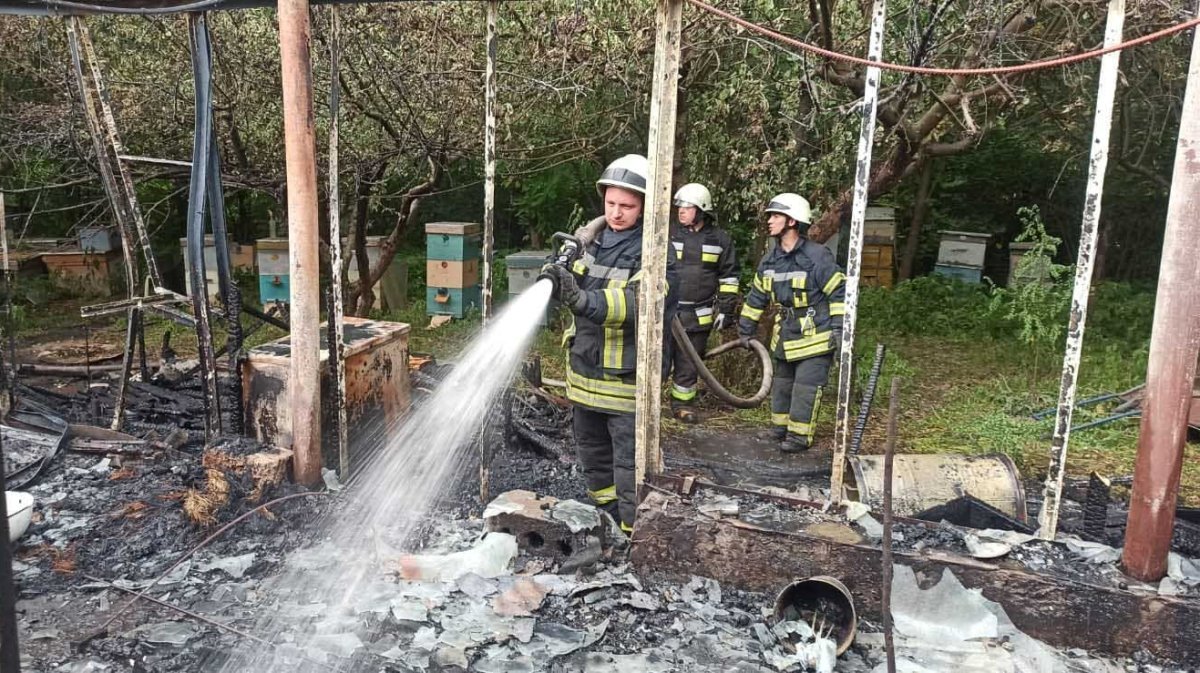 Под Киевом во время пожара в частном доме спасли пасеку