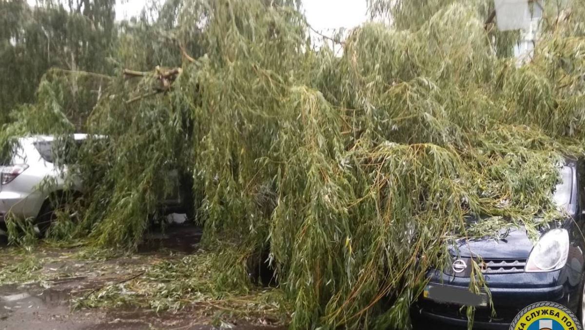 Зливи та гроза в Києві повалили дерева та затопили місто: де працюють рятувальники