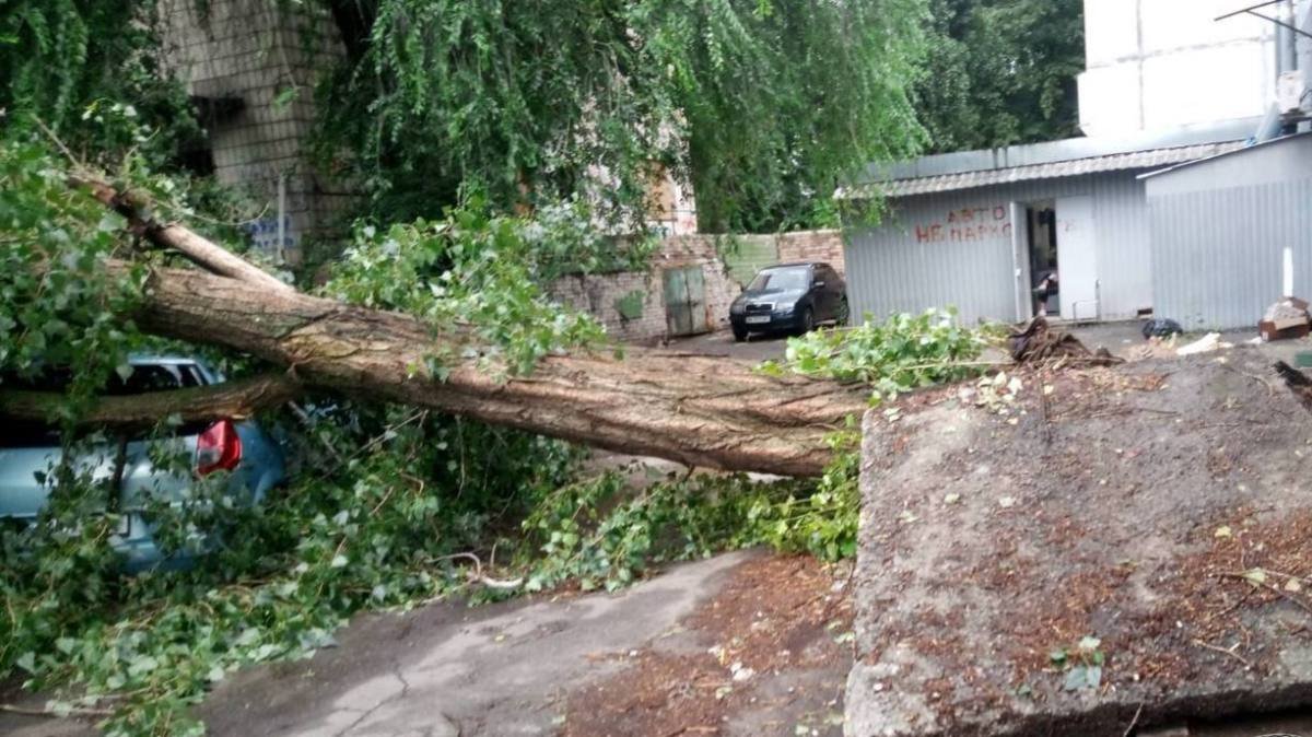 Негода в Києві повалила та зламала три сотні дерев