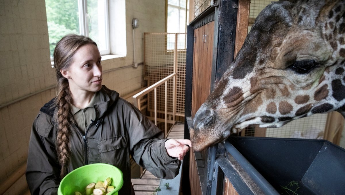 Як працював столичний зоопарк у перші місяці широкомасштабного вторгнення росії