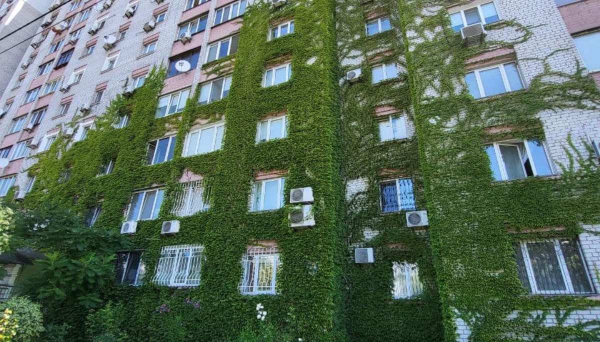 У Києві почали реалізацію еко-ініціативи «Місто живих стін»: що це і як долучатися