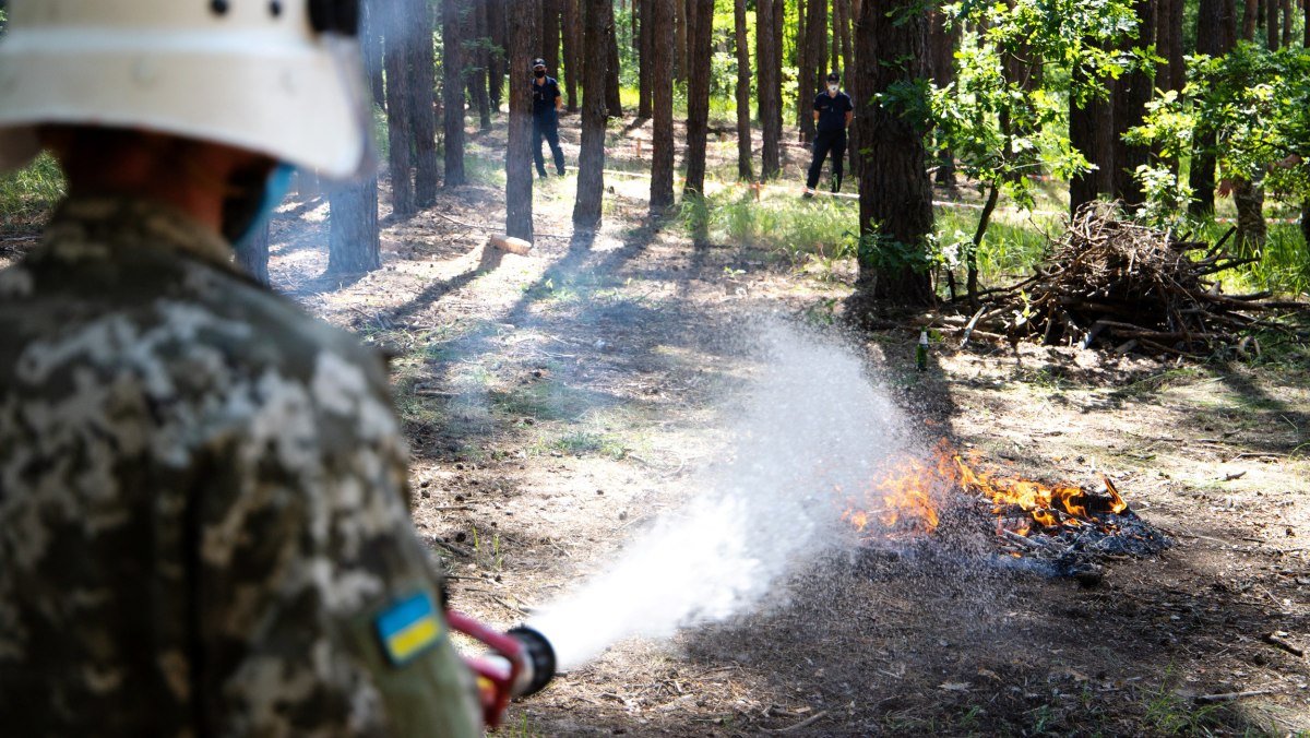 Жителів Києва попередили про пожежну небезпеку: відвідувати ліси все ще заборонено