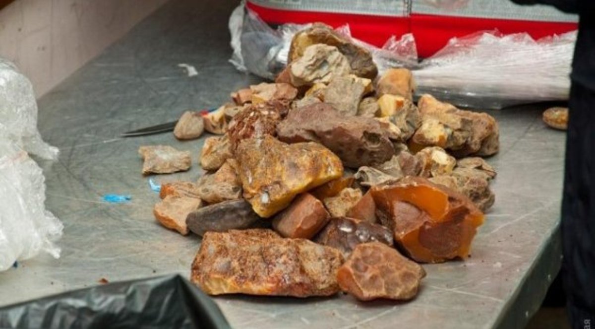 На Київщині незаконно видобули 5 тонн бурштину вартістю 12,5 мільйони гривень