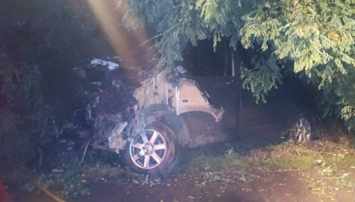 На Київщині Volkswagen вилетів з дороги і врізався в дерево: водій загинув