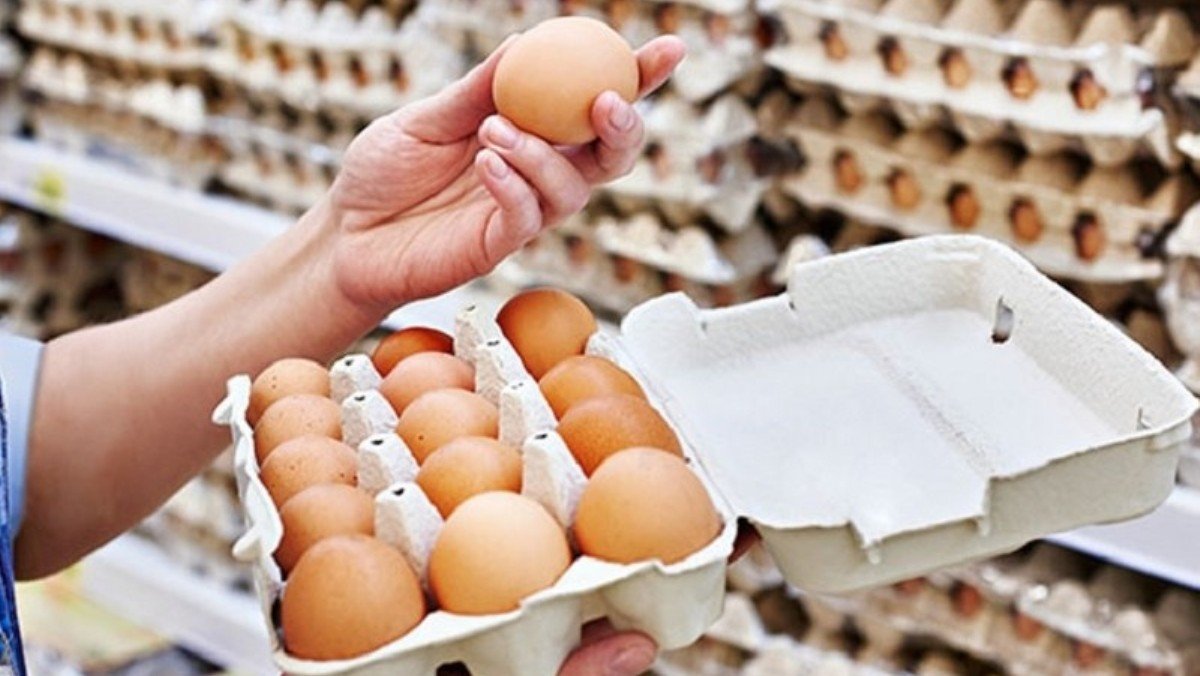 В Україні зупинилося зростання ціни на курячі яйця