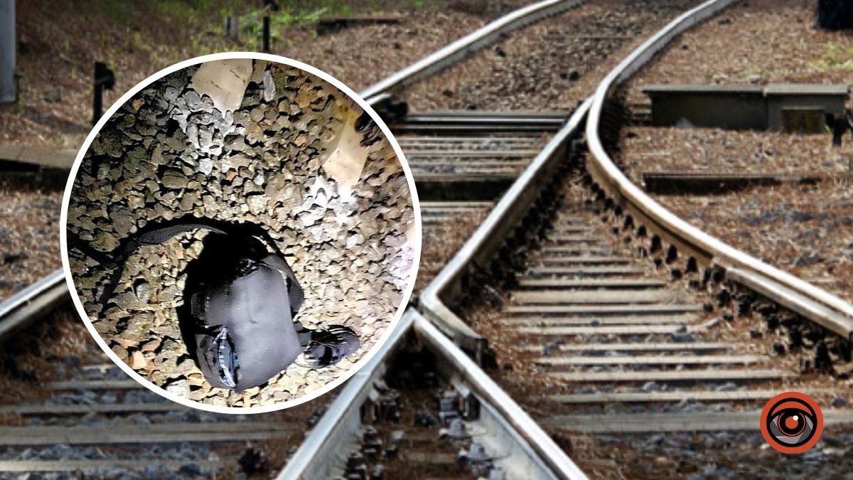 У Київській області поїзд збив 30-річного чоловіка