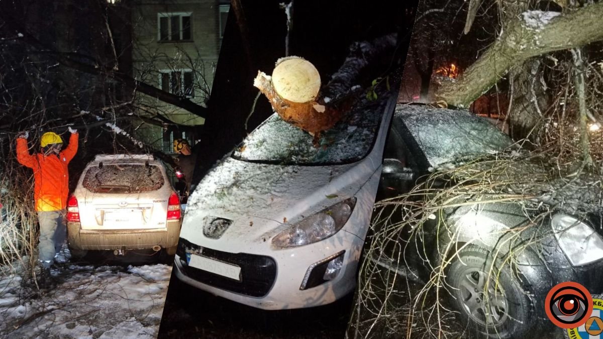 У Києві через негоду дерева падають на автівки, дороги та тротуари