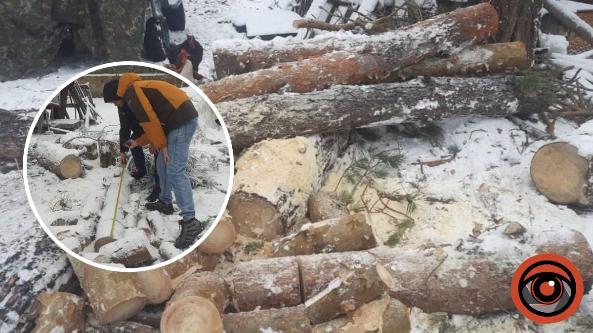 У Києві чоловіки займались незаконною вирубкою дерев на Трухановому острові