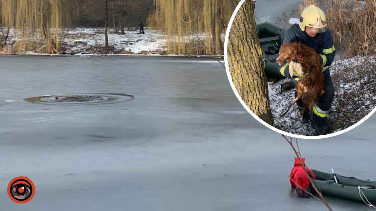 На Київщині врятували собаку, який потрапив у ополонку на річці