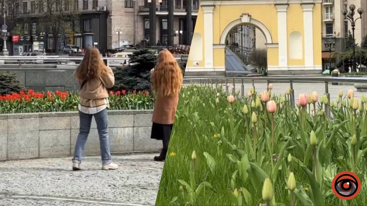 У Києві на Майдані Незалежності розцвіли перші тюльпани