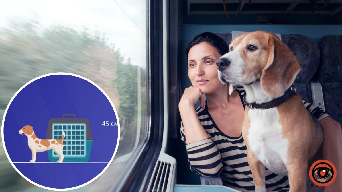 Як подорожувати з тваринами поїздами Укрзалізниці та за кордон: правила перевозки собак