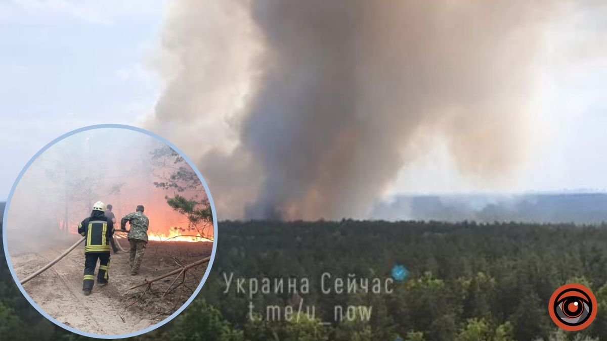 На Київщині масштабна пожежа на території Вишгородського району: що відомо