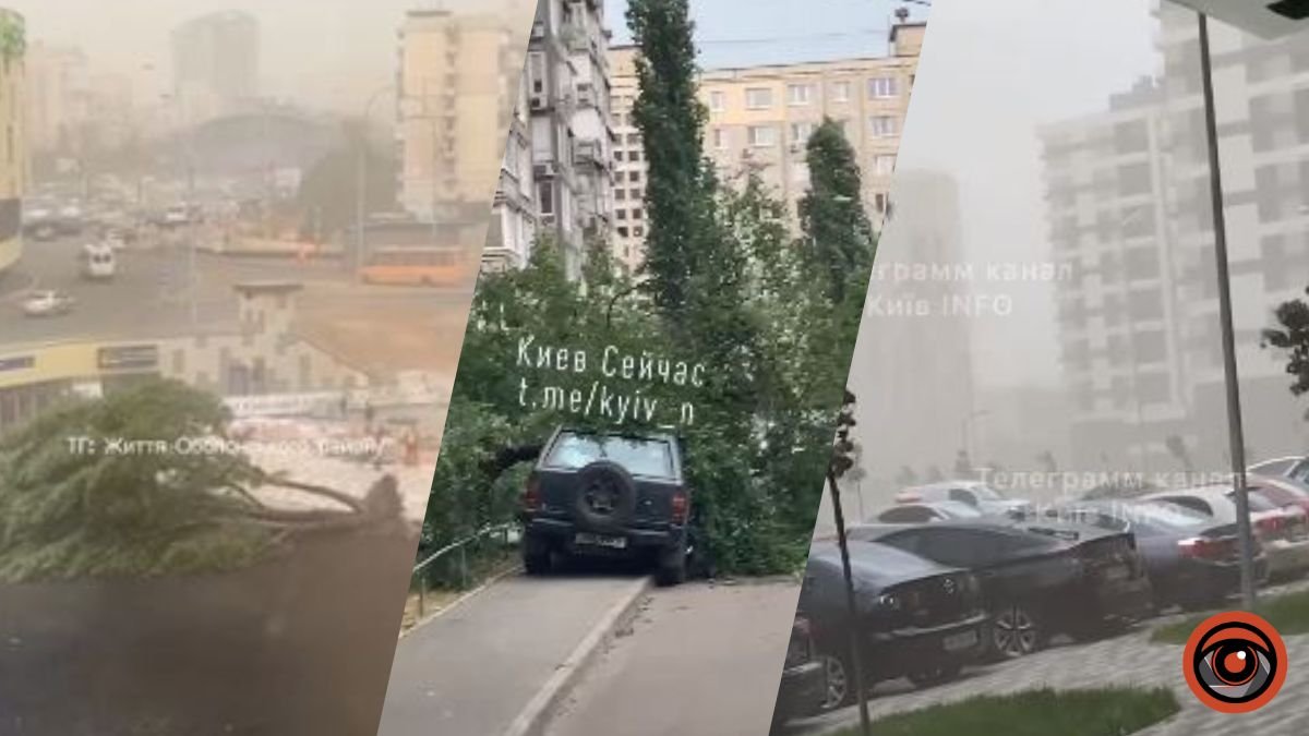 Шторм у Києві: в різних районах падають дерева та затримується транспорт