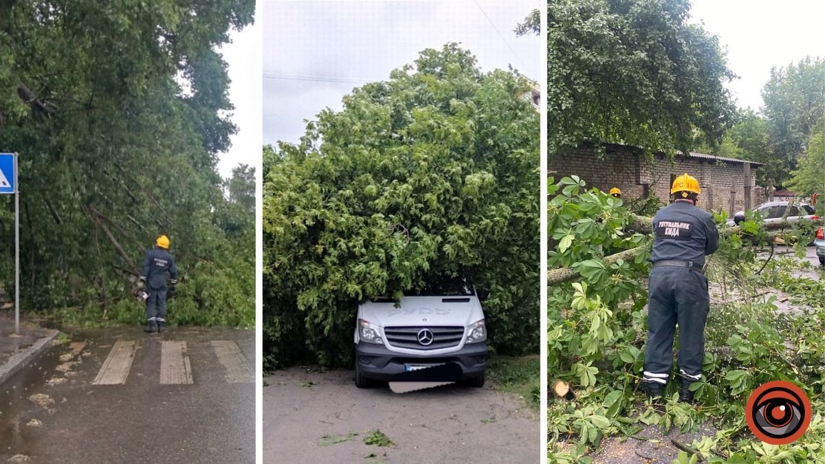 Наслідки шторму у Києві: рятувальники прибирають повалені дерева