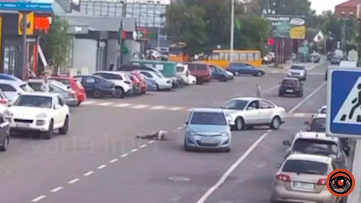 На Київщині чоловік кинувся під колеса авто