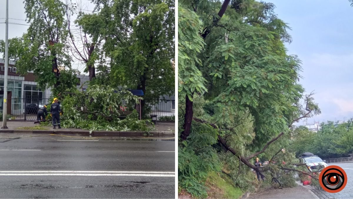 У Києві після шторму та зливи по всьому місті падали дерева та гілки: рятувальники ліквідовують наслідки