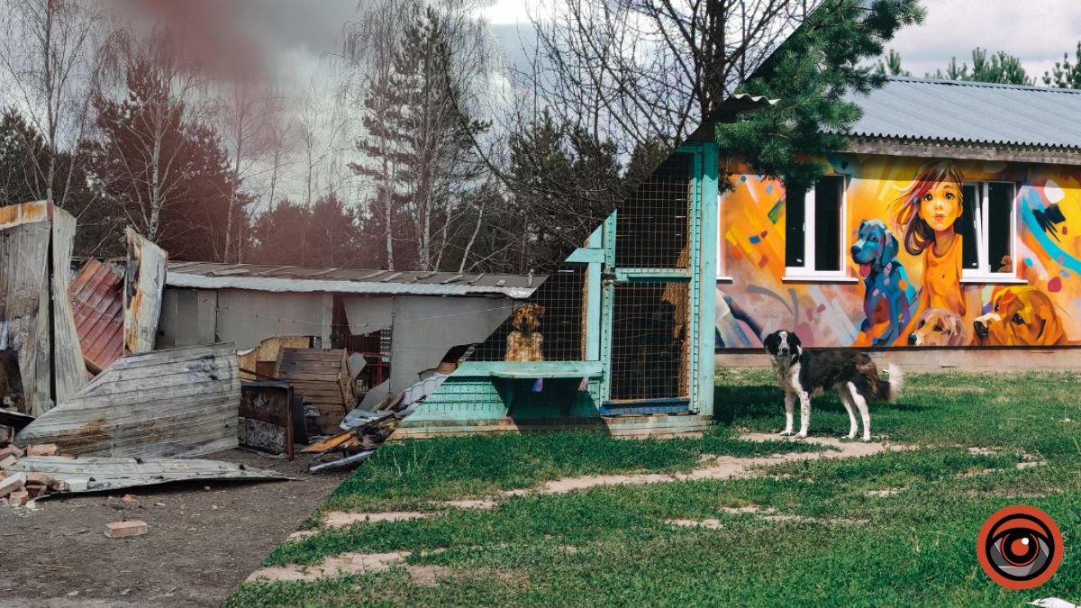 На Київщині відбудували зруйнований російськими обстрілами притулок для тварин