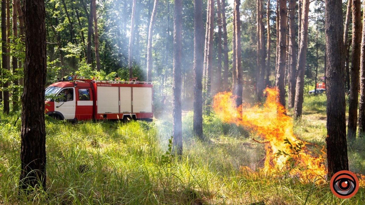 У Києві утримується пожежна небезпека: правила відпочинку на природі