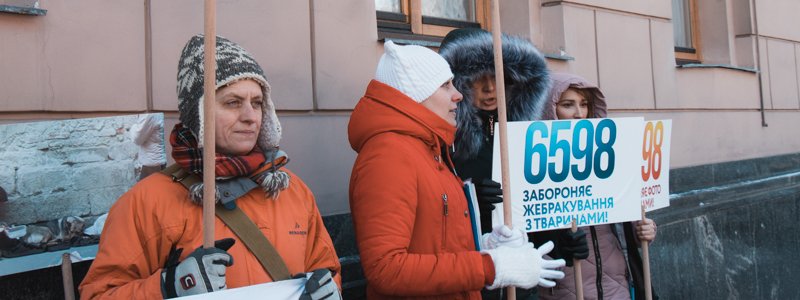 В Киеве под парламентом активисты требовали принятия закона о защите животных