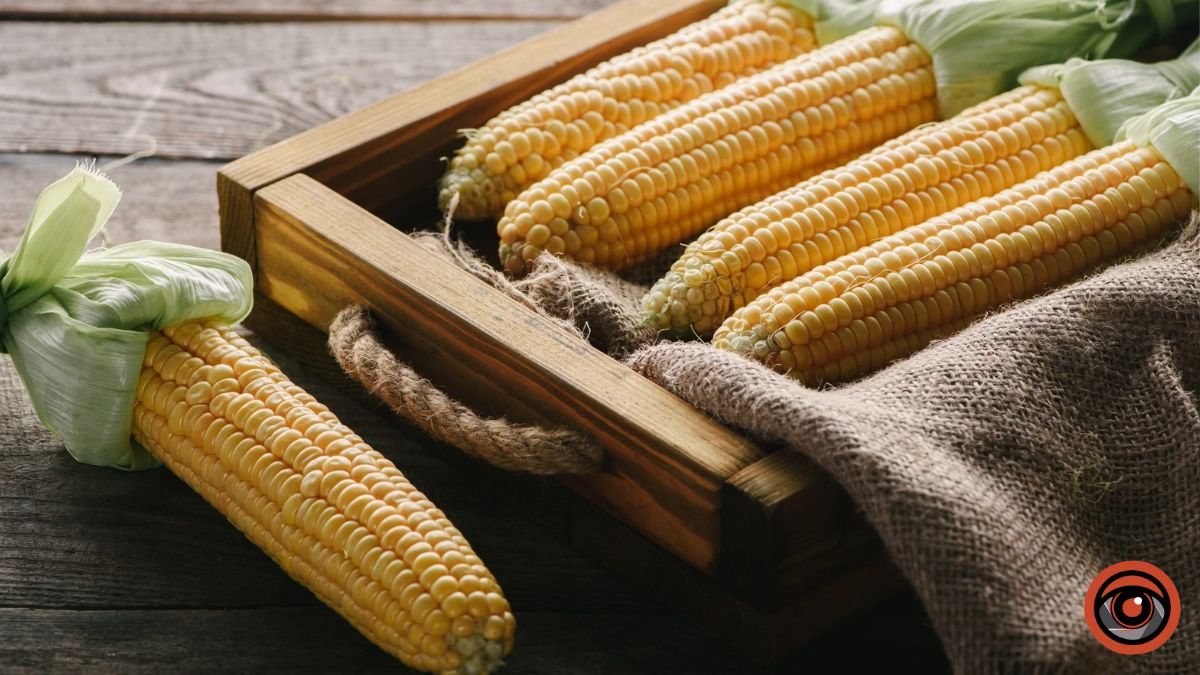 Де в Києві купити молоду кукурудзу біля дома: адреси