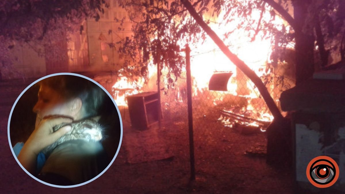 У Києві згорів притулок для котів, загинули тварини: поліція відкрила кримінальне провадження