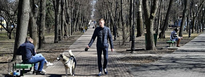 Реконструкция Куреневского парка в Киеве: как выглядит сейчас и что планируют изменить