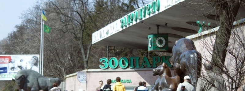 В Киеве заработал зоопарк: изменились цены на билеты