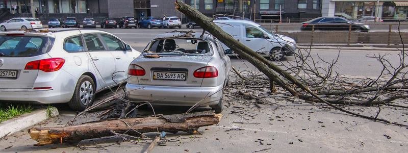 В Киеве по Новоконстантиновской упавшее дерево разбило автомобиль