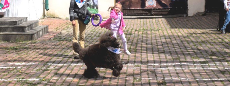 В Киеве впервые показали, как собаки могут помочь особенным детям