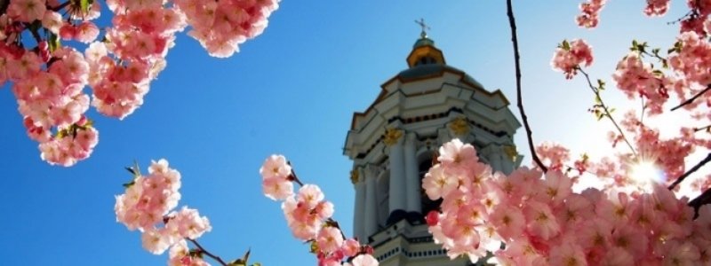 Столица в цветах: ТОП красивых снимков весеннего Киева в Instagram